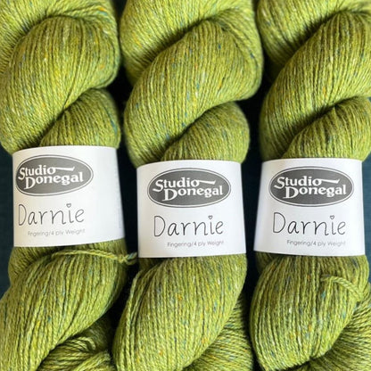 Studio Donegal Darnie