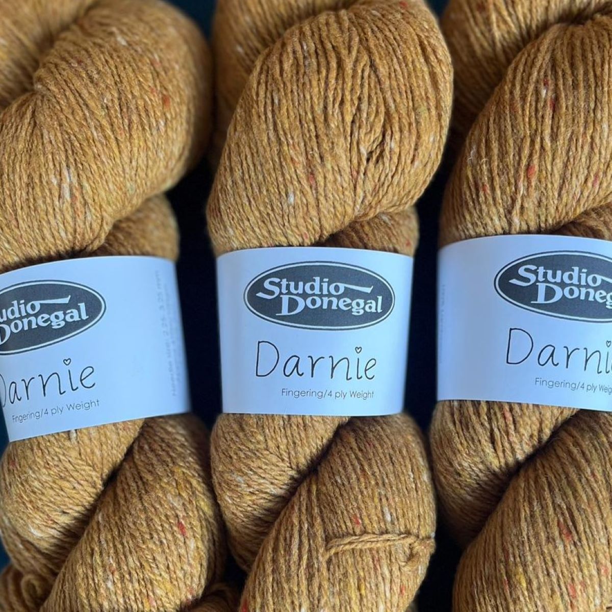Studio Donegal Darnie