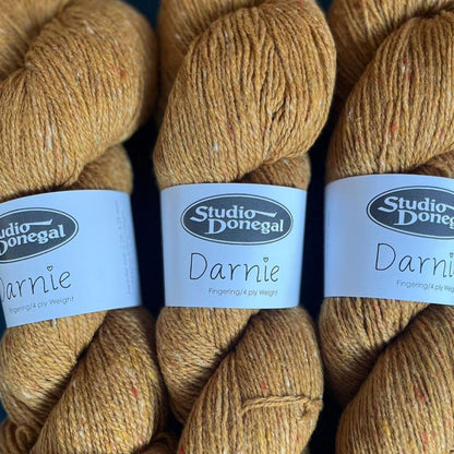 Studio Donegal Darnie