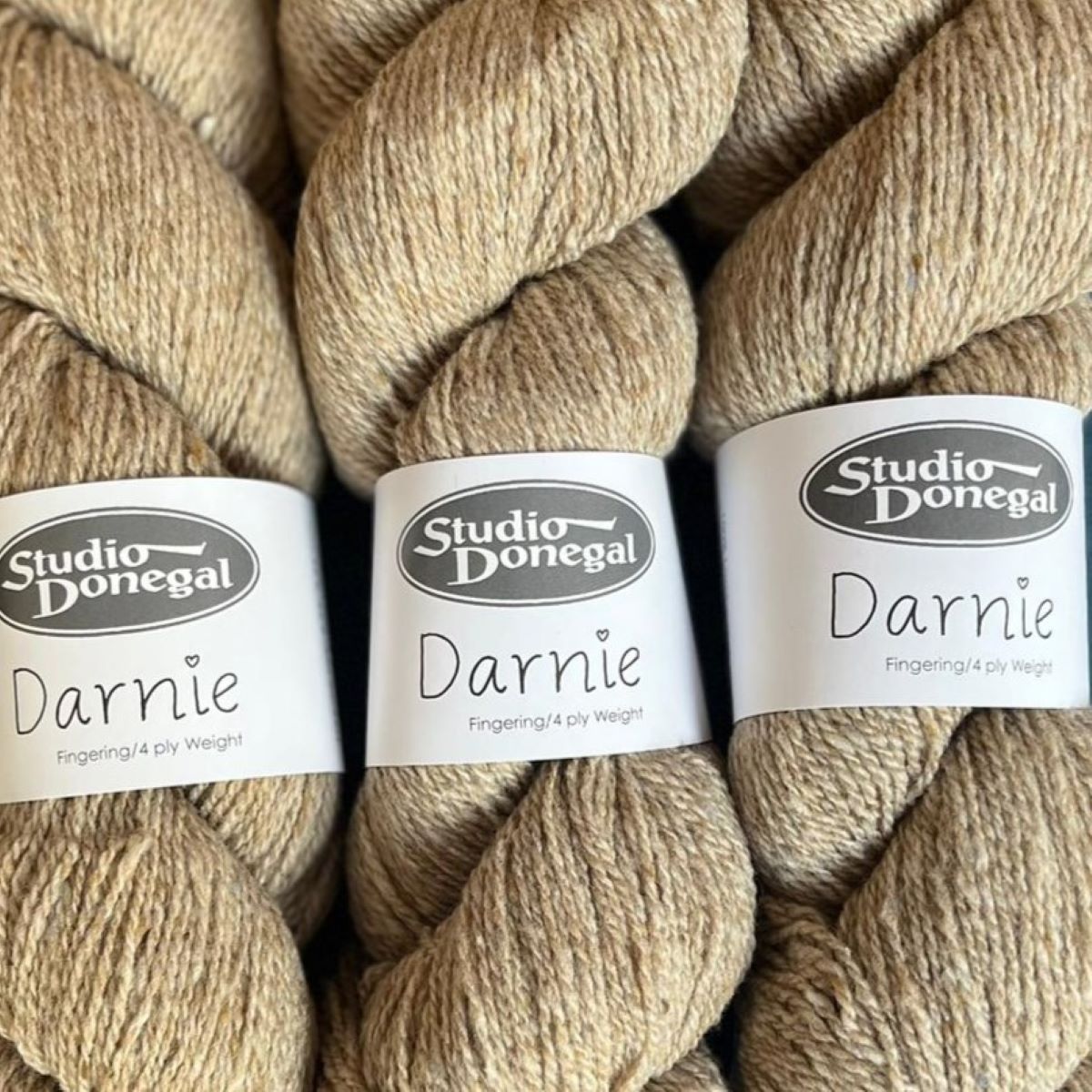 Studio Donegal Darnie
