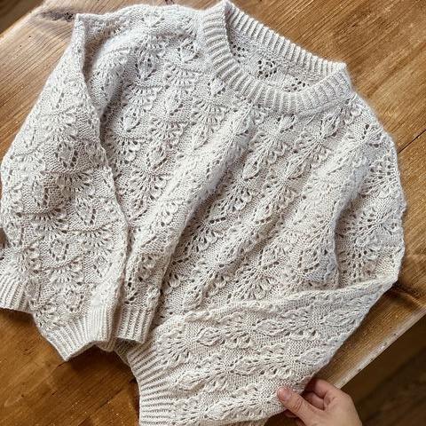 Pierre Sweater by Johanna Gehrisch