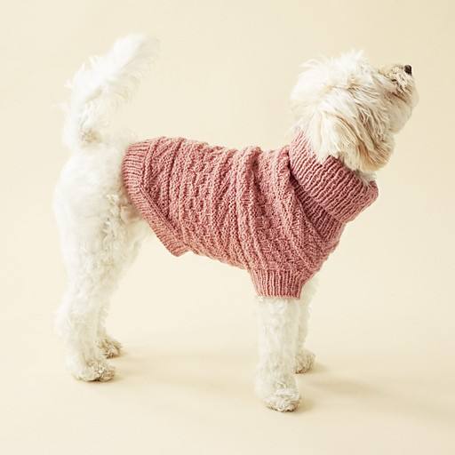 Alvar dog sweater by Sari Nordlund