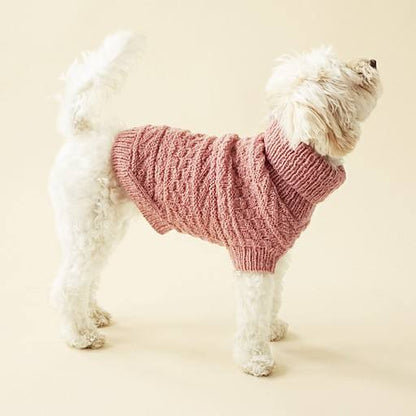 Alvar dog sweater by Sari Nordlund
