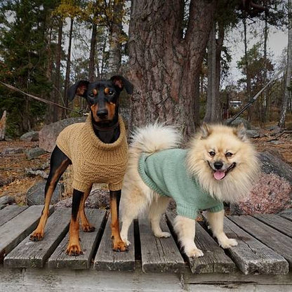 Alvar dog sweater by Sari Nordlund