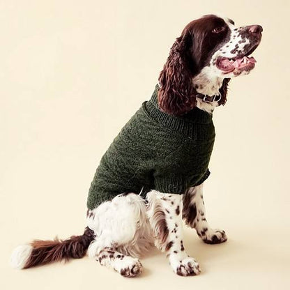 Alvar dog sweater by Sari Nordlund